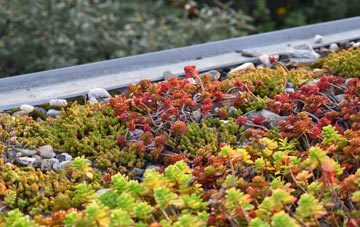 the cost of Carmavy green roof installation