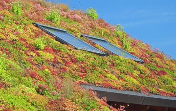 Carmavy living roof systems