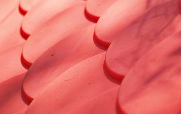 Carmavy plastic roof costs