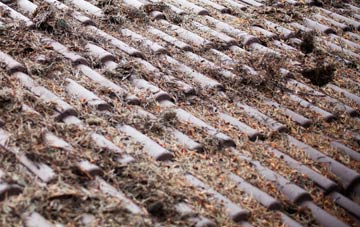 Carmavy roof cleaning companies