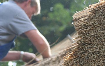 professional Carmavy thatchers