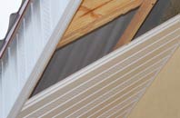 rated Carmavy soffit repair companies
